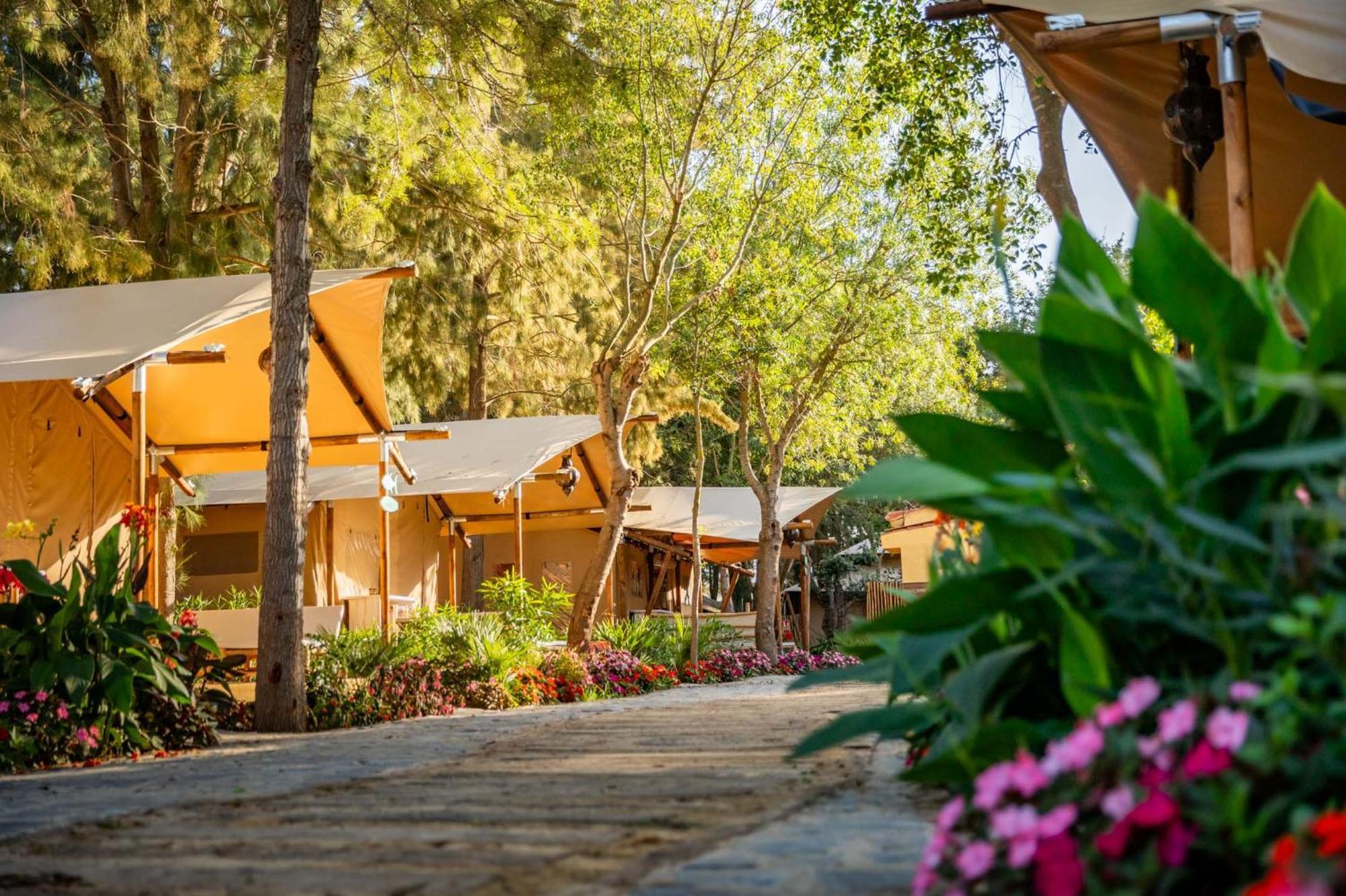 Dunas Luxury Camping